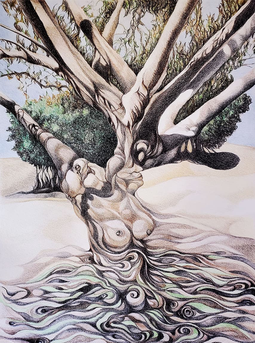 Gallery Interior - Carla Golder